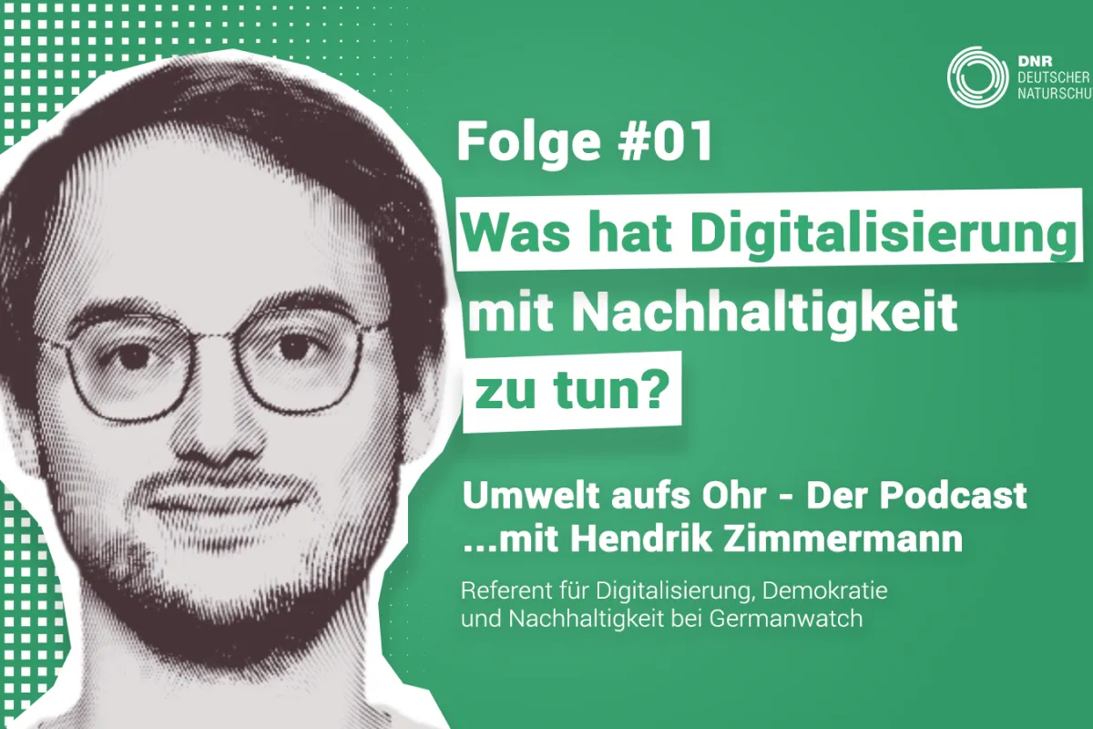 Bits & Bäume: Was hat Digitalisierung mit Nachhaltigkeit zu tun?